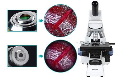 microscopio biologico monoculare principianti